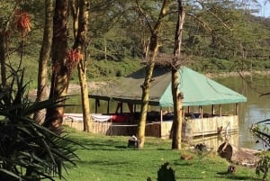 Nairobi: Crater Lake Game Sanctuary & Lake Naivasha Tour