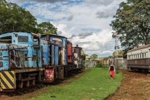 Tag med på en rundtur til Nairobis kulturelle og historiske seværdigheder