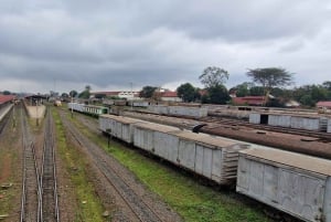 Nairobi: Hidden Gems and Local Secret Guided Walking Tour