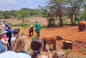 Nairobi:David Sheldrick Elephant Orphanage & Giraffe Center