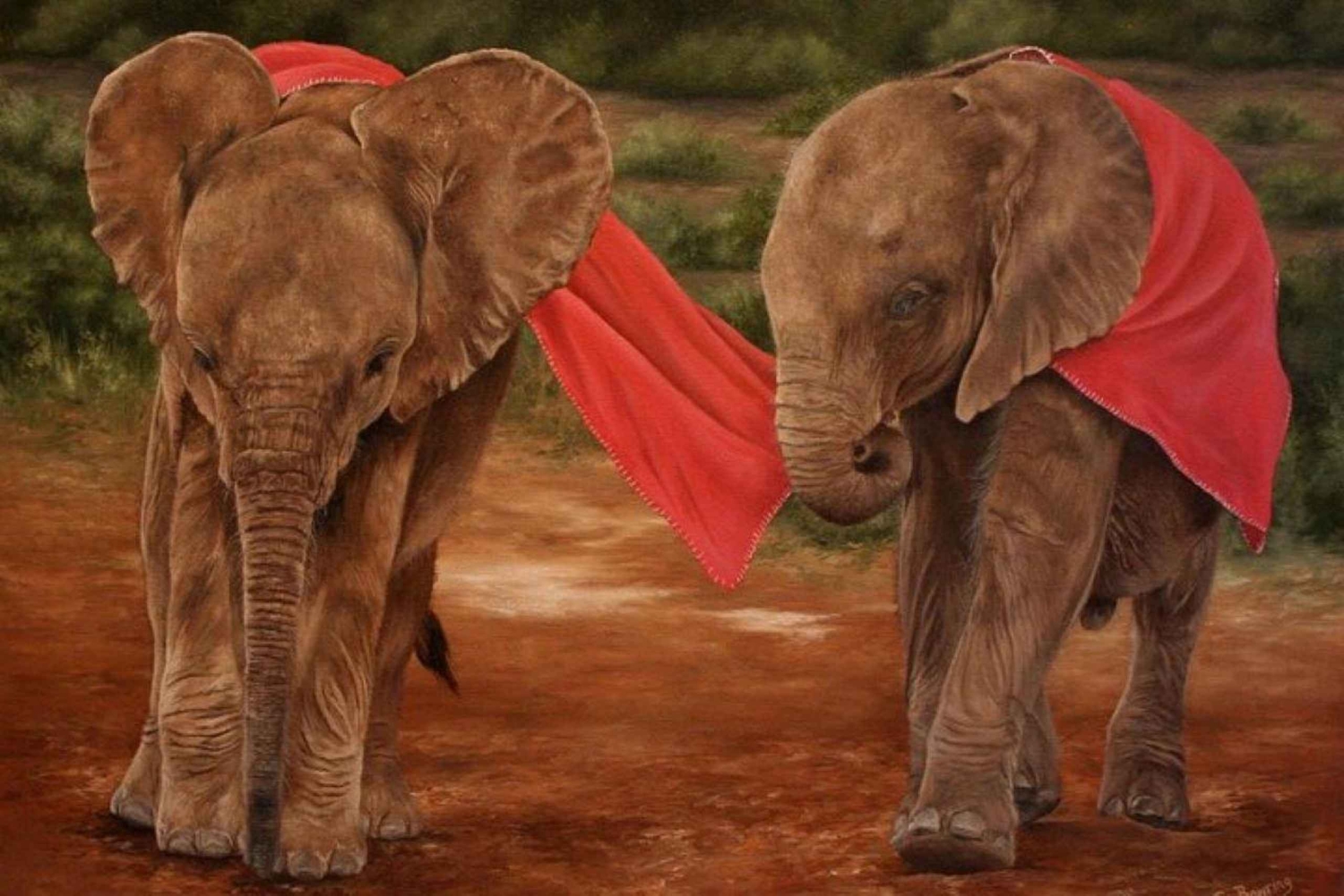Nairobi - besök på Besök på David Sheldrick Elephant Orphanage