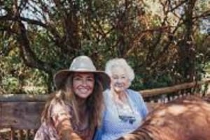 Nairobi; David Sheldrick Elephant Trust Half Day Tour