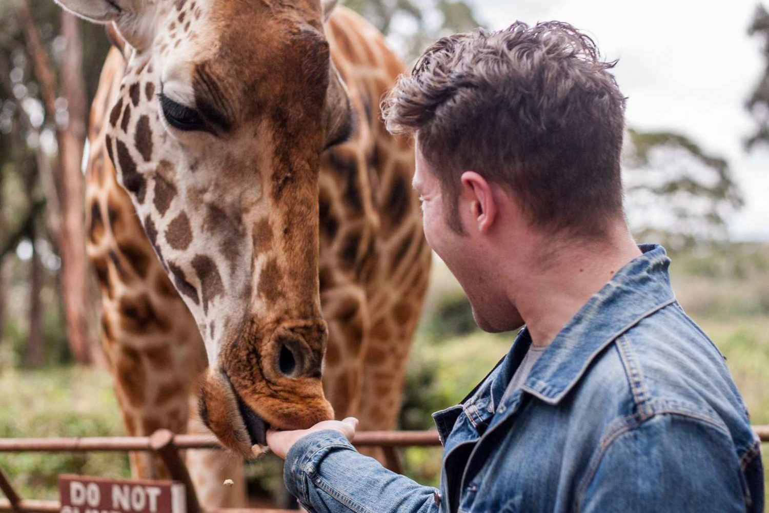 Nairobi = David Sheldrick, Giraffe Center & Kobe Perlen Tour