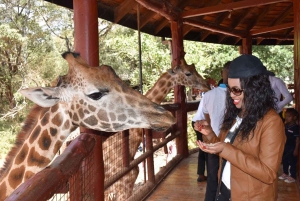 Nairobi = David Sheldrick, Giraffencentrum & Kobe Kralen Tour