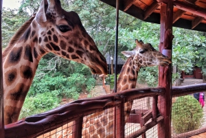 Nairóbi = David Sheldrick, Centro das Girafas e passeio pelas contas de Kobe