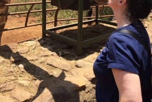Nairobi: David Sheldrick, sjiraffsenteret og Blixen-turen