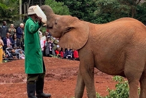 Nairobi: David Sheldrick, sjiraffsenteret og Blixen-turen