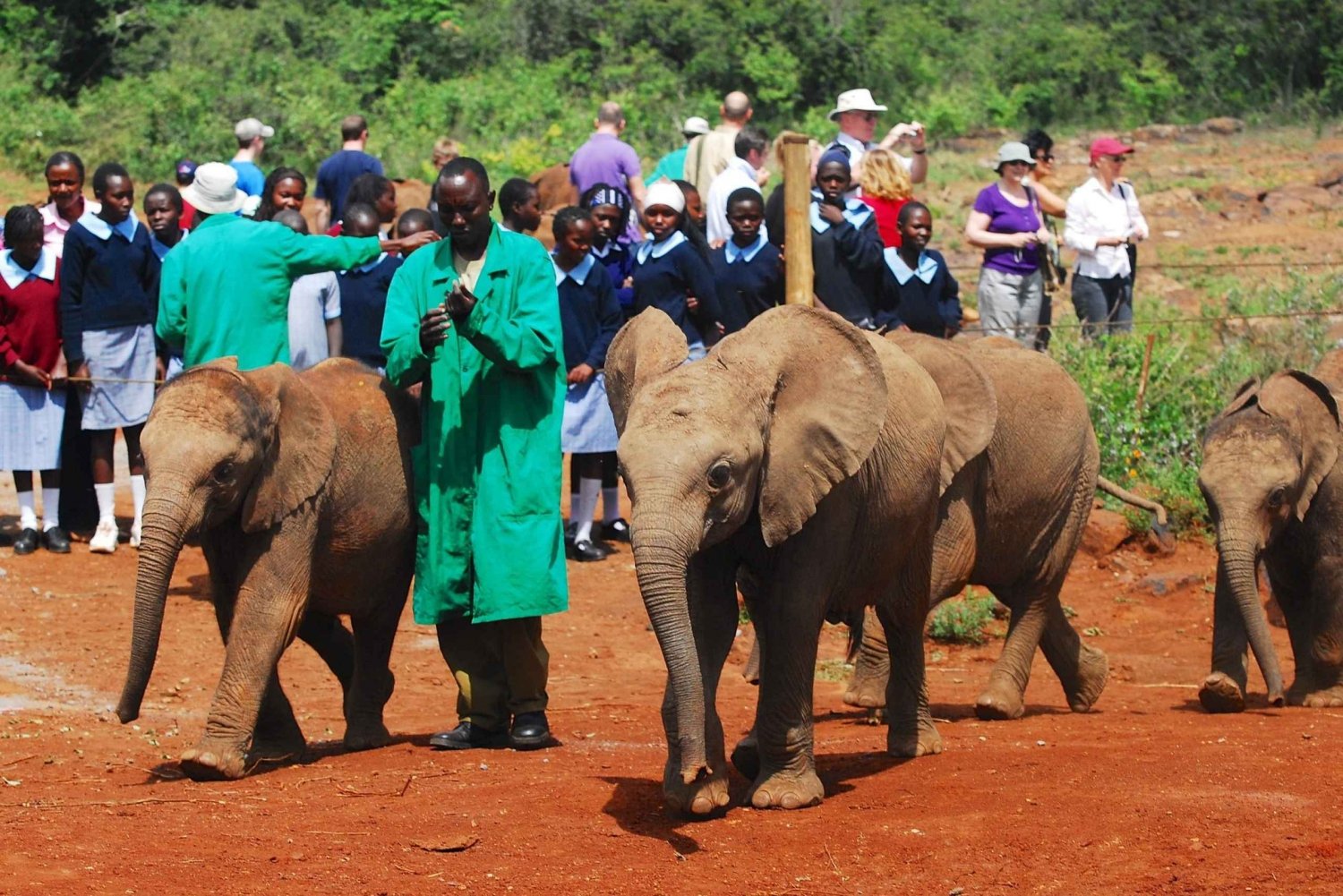 Excursion d'une journée à Nairobi : Centre des girafes, éléphants et perles Kazuri