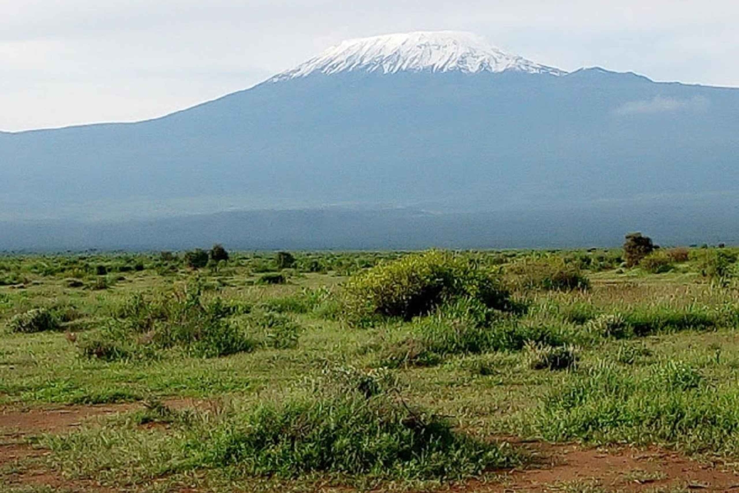 Nairobi: Dagstur til Amboseli Nationalpark og Maasai-landsby
