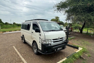 Nairobi: Dagstur til Amboseli Nationalpark og Maasai-landsby
