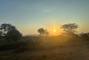 Nairobi: Tagestour zum Amboseli-Nationalpark & Masai-Dorf