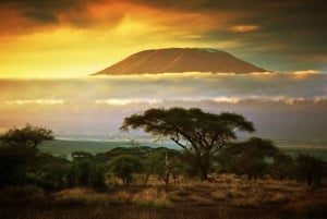 Nairobi: Tagestour zum Amboseli-Nationalpark & Masai-Dorf