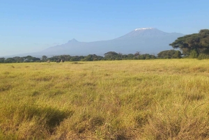 Nairobi: Tagestour zum Amboseli-Nationalpark & Masai-Dorf