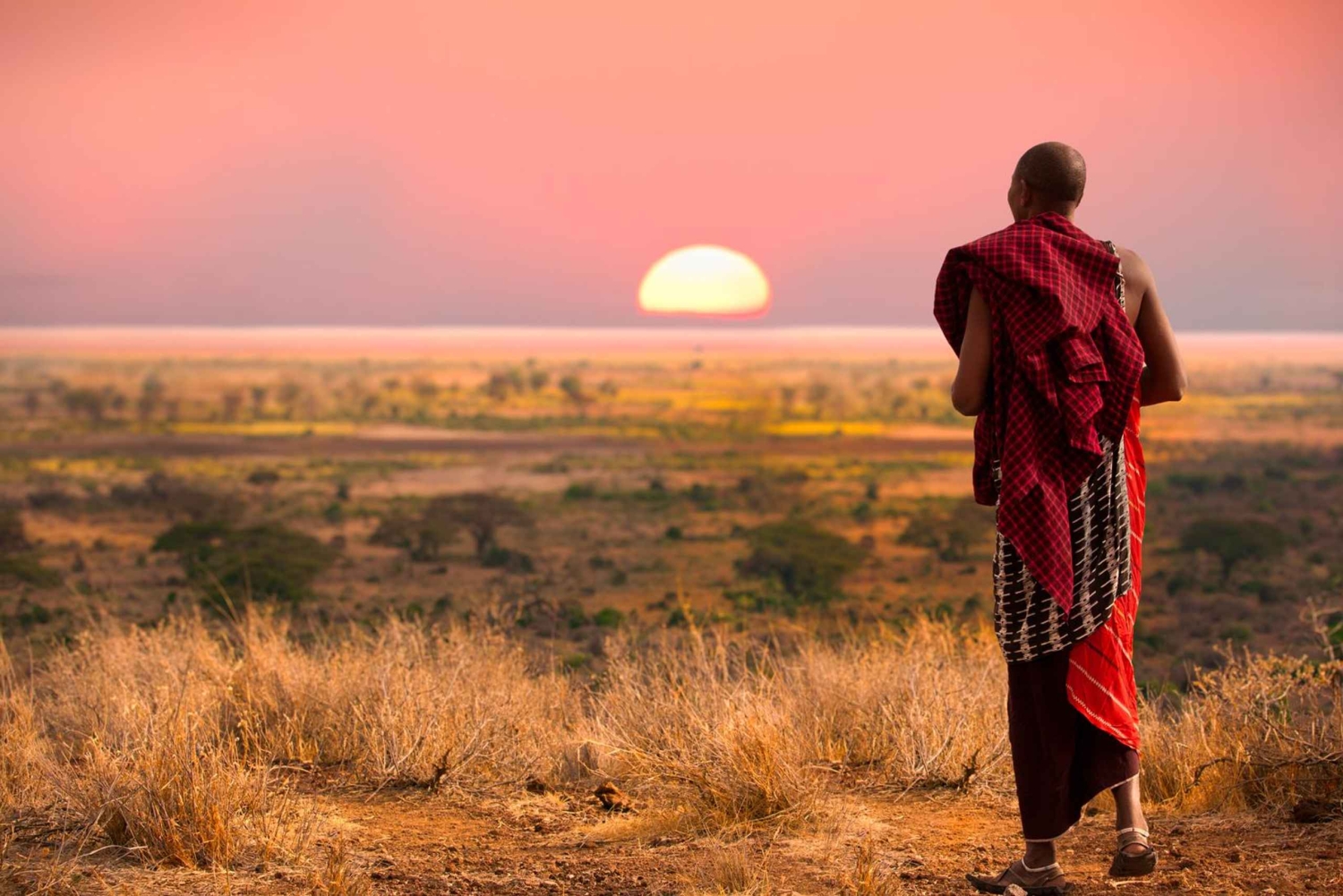Nairobi : Excursion d'une journée à la réserve de Maasai Mara et au village Maasai