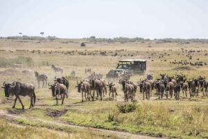 Nairobi: Day Trip to Maasai Mara Reserve & Maasai village