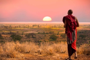 Nairobi : Excursion d'une journée à la réserve de Maasai Mara et au village Maasai