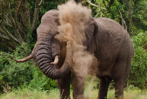 Nairobi : Excursion d'une journée à la réserve de Maasai Mara et au village Maasai