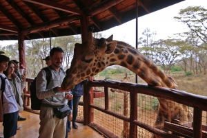 Nairobi: Elephant Orphanage and Giraffe Center Day Adventure