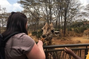 Nairobi: Excursión de un día al Orfanato de Elefantes y Centro de Jirafas