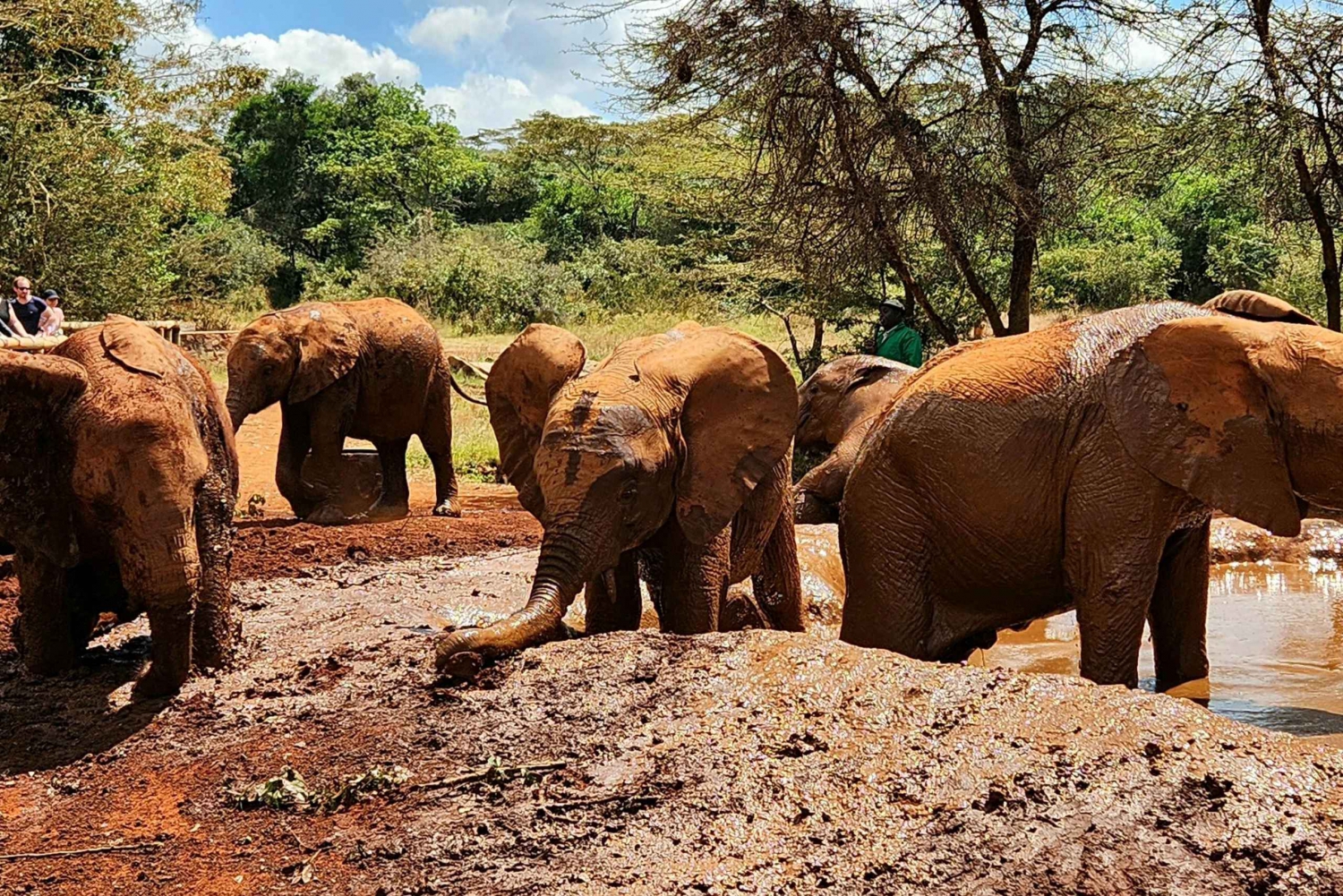 Nairobi: Elephant Orphanage and Giraffe Center Tour