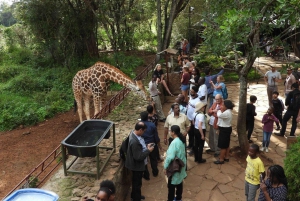 Nairobi: Olifantenweeshuis, Giraffecentrum en Karen Blixen