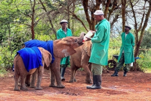 Nairobi: Elefantbarnhem, Giraffcenter och Karen Blixen