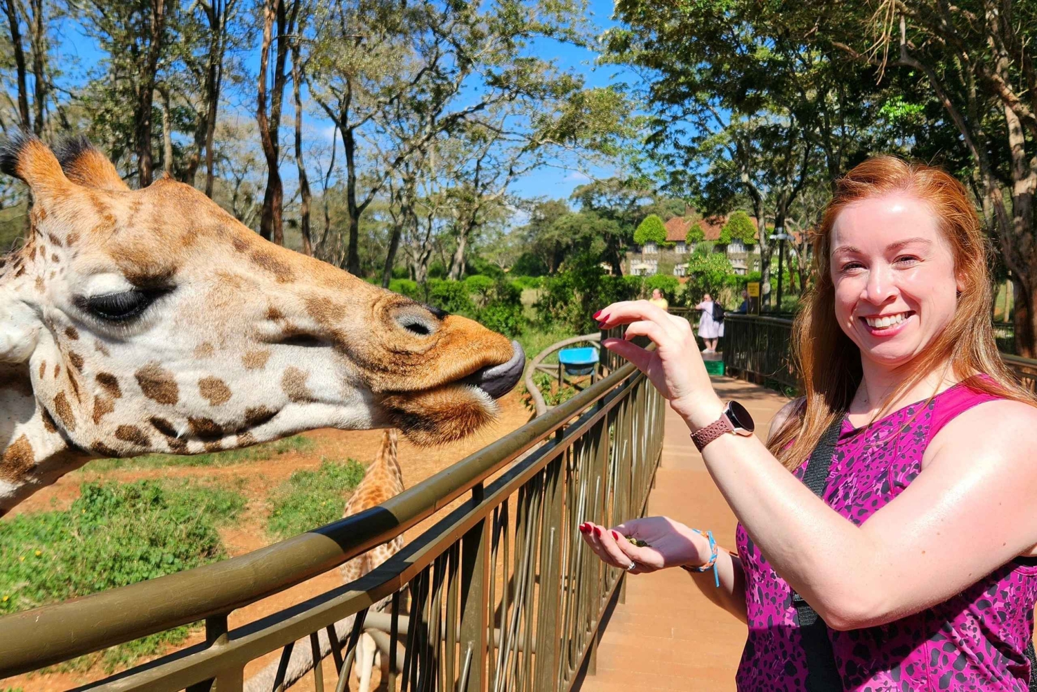 Nairobi: Tur til Elephant Orphanage Trust og Girafcentret