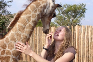 Nairobi: Tur til elefantbørnehjemmet og girafcentret