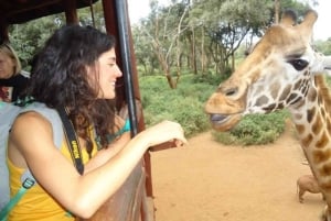 Nairobi: Elefanttiorvokoti Trust ja kirahvikeskus Tour