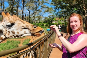 Nairobi: Tur til Elephant Orphanage Trust og Girafcentret