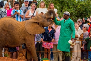 Nairobi: Tur til Elephant Orphanage Trust og Girafcentret