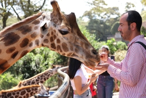 Nairobi: Tur til Elephant Orphanage Trust og Girafcentret