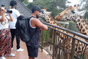 Найроби: дневная экскурсия в заповедник слонов и центр жирафов