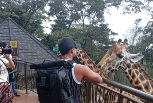 Найроби: дневная экскурсия в заповедник слонов и центр жирафов