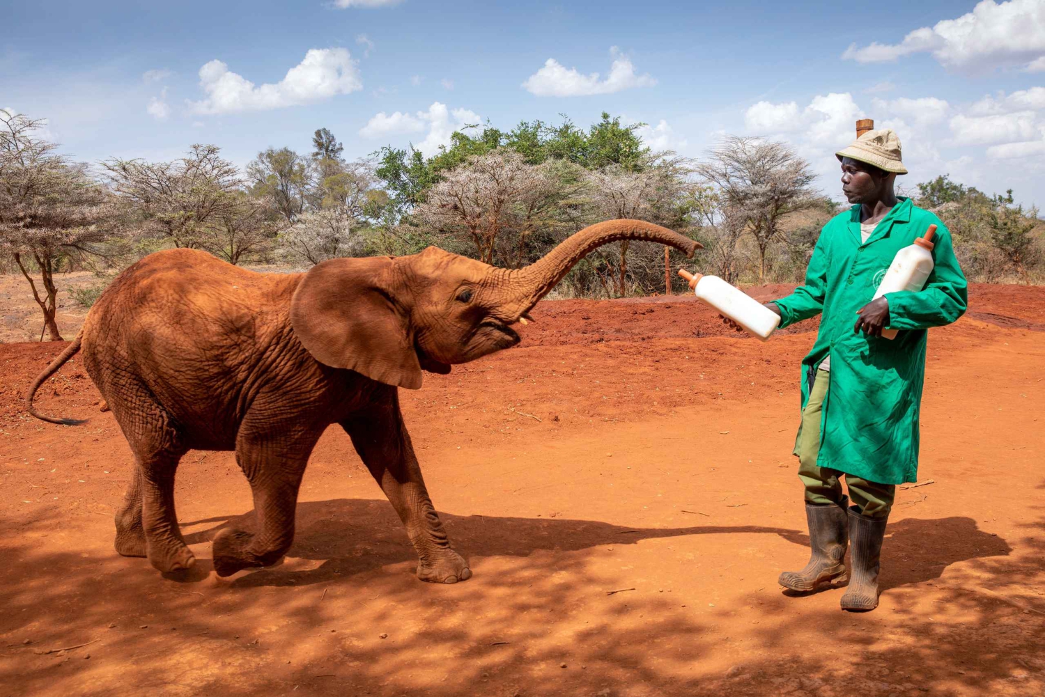 Nairobi: Halvdagstur til elefantreservat og girafcenter.