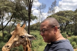 Nairobi: tour de medio día al santuario de elefantes y al centro de jirafas.