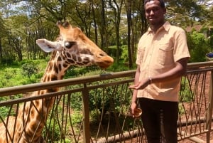 Nairobi: tour de medio día al santuario de elefantes y al centro de jirafas.