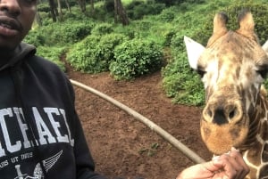 Nairobi: tour de medio día al santuario de elefantes y al centro de jirafas.