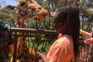 Nairobi: tour de medio día al santuario de elefantes y al centro de jirafas.
