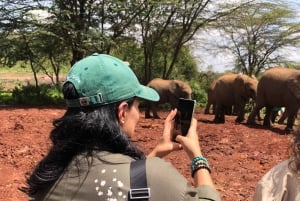 Nairobi: tour de medio día al santuario de elefantes y al centro de jirafas.