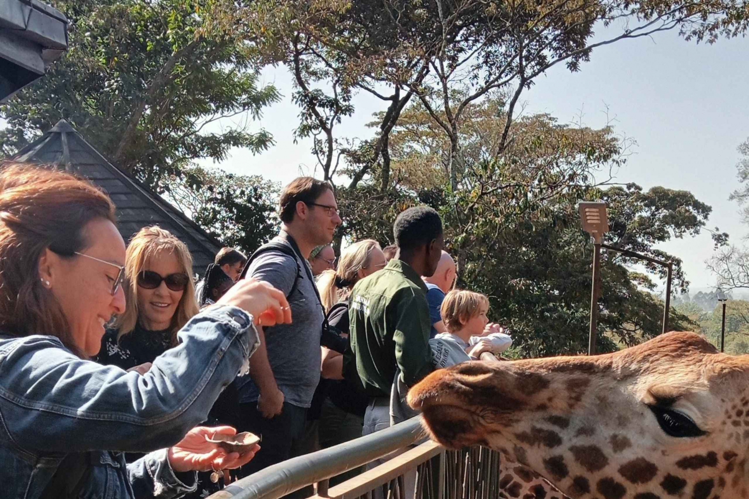 Nairobi: Baby elephants, giraffes, & beads Factory Half-Day