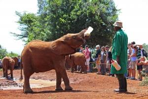 Nairobi: Elephants, Giraffes, & Beads Factory Half-Day Trip