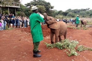 Nairobi: Elephants, Giraffes, Karen Blixen & Bomas Tour