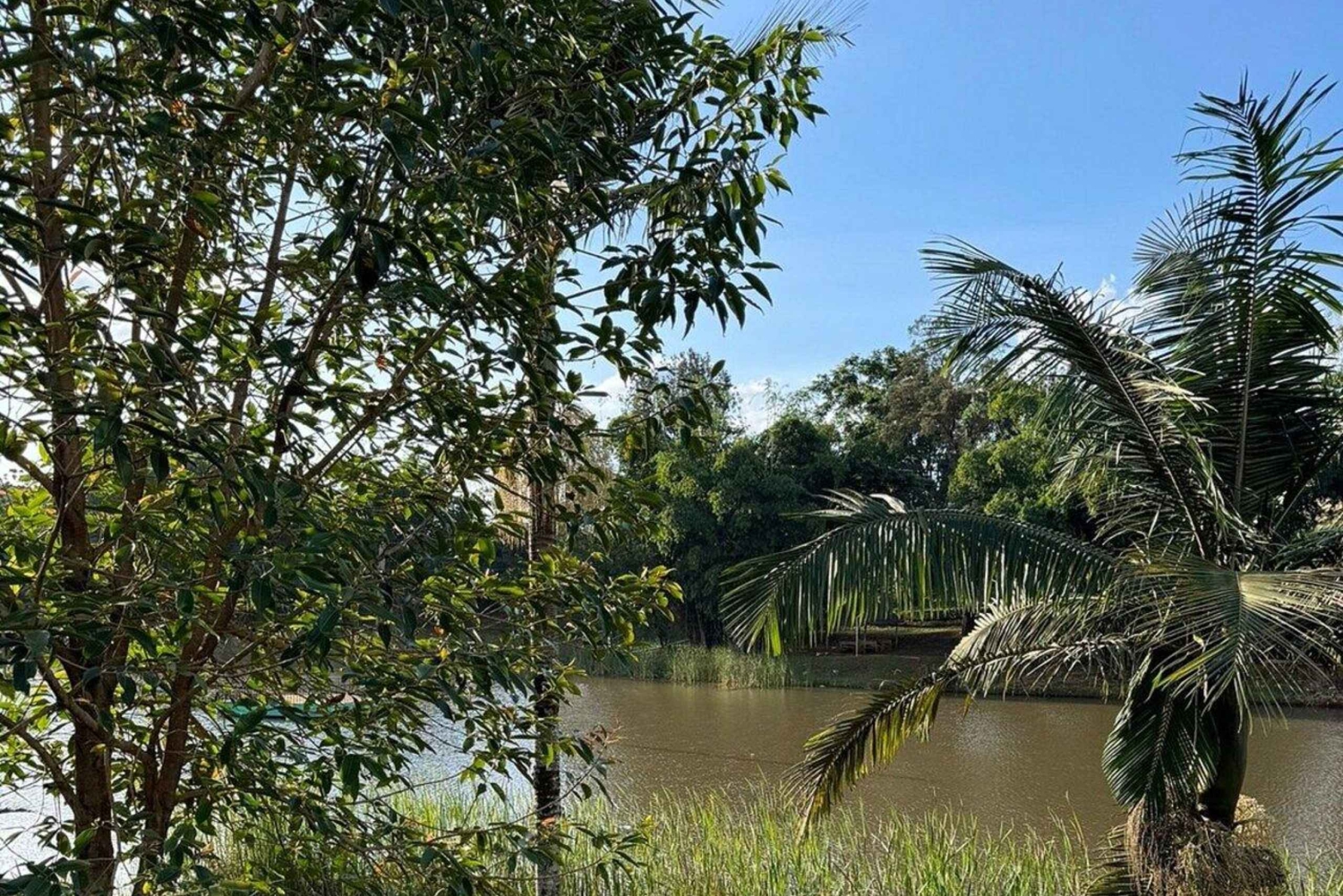 Nairobi: Evergreen Park Guided Tour With Entrance Fee