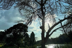 Nairobi: Evergreen Park Guided Tour With Entrance Fee