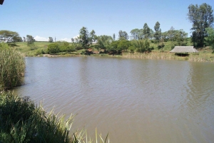 Nairobi: Evergreen Park Guided Tour With Entrance Fee