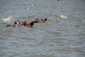 Parc national Hell's Gate - Balade quotidienne en vélo électrique