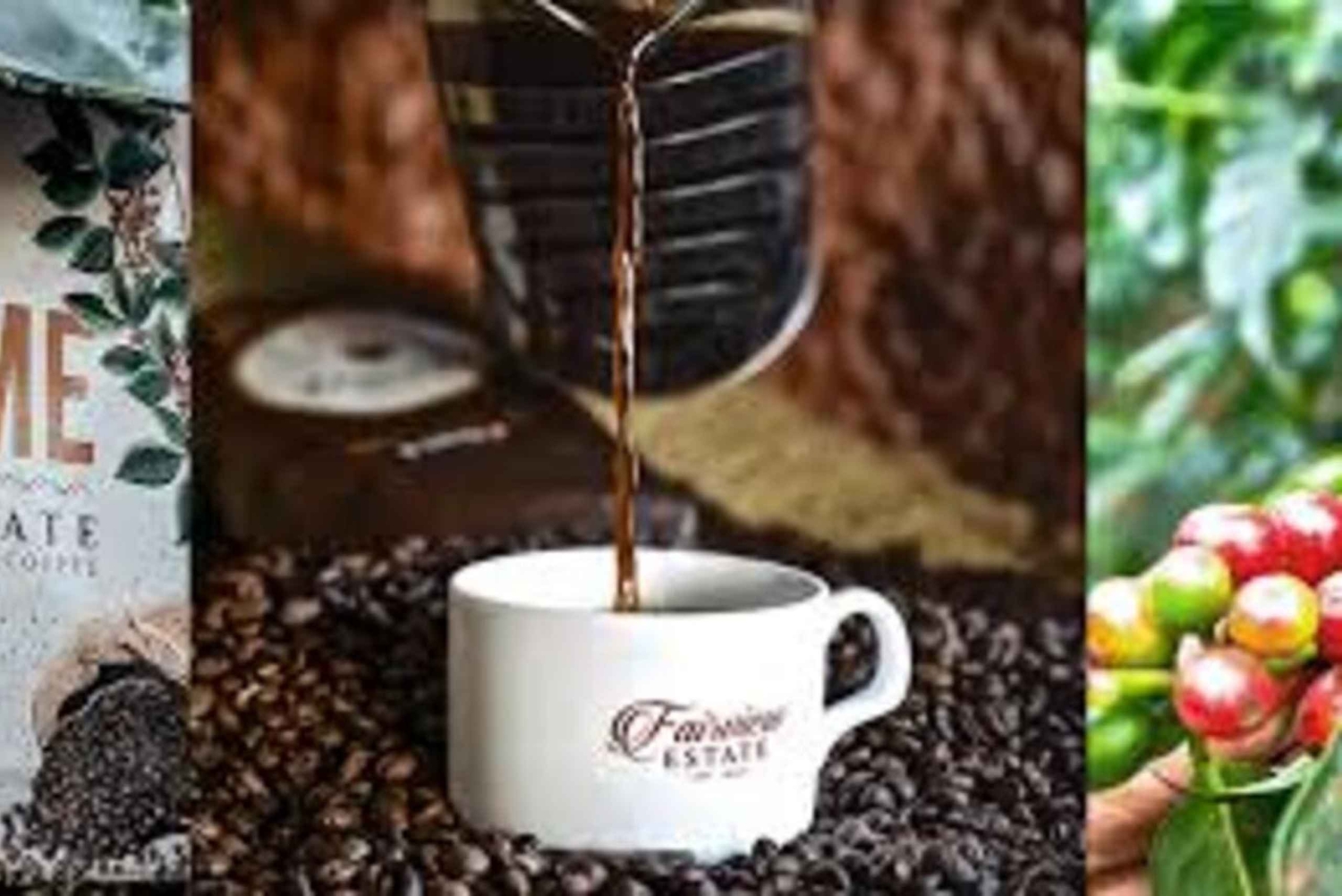 Nairobi : visite de la plantation de café Fairview avec prise en charge