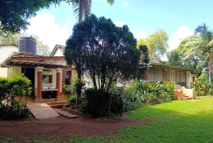 Nairobi : visite de la plantation de café Fairview avec prise en charge