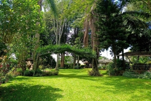 Nairobi : visite de la plantation de café Fairview avec prise en charge